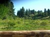 Добавлен релиз - Поселение Ведрика (Vedrica Forest Gardens), США